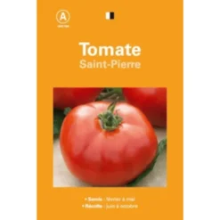 Graines de tomate Saint Pierre premier prix - graines à semer