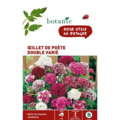 Graines d'œillet de poète double varié botanic® - graines à semer