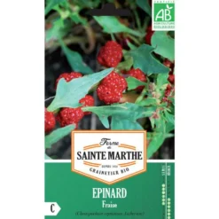 Graines d'épinard fraise bio Ferme de Sainte Marthe - graines à semer