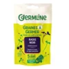 Graines à germer bio radis noir - 150 g