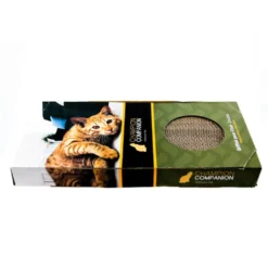 Griffoir pour chat Scratcher Double