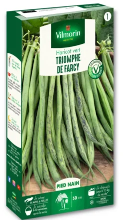 Haricot nain à filet Triomphe de Farcy Vilmorin - graines à semer