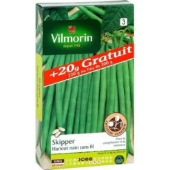 Haricot nain sans fil Skipper Vilmorin - graines à semer