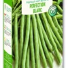 Haricot vert grimpant Blanc de Juillet Vilmorin - graines à semer