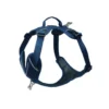 Harnais Momentum Taille 5 Circonférence cage thoracique 80-106cm Bleu