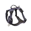 Harnais pour chien coloris bleu foncé Kyflie Momentum Urban - Taille 2