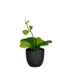 Hoya artificiel vert en pot - 17 x 13 x 22 cm