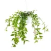 Hoya Bella suspension Ø14xH50 cm