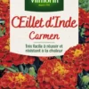 Œillet d'Inde Carmen Maniature Vilmorin - graines à semer