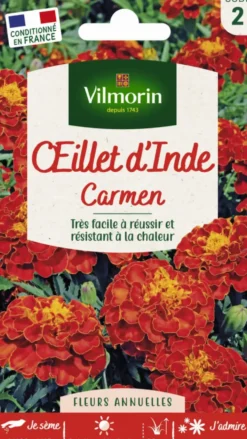 Œillet d'Inde Carmen Maniature Vilmorin - graines à semer