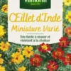 Œillet d'Inde miniature varié Vilmorin - graines à semer