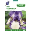 Iris Germanica Stepping Out violet et blanc botanic® - 1 bulbe