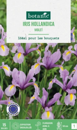 Iris hollande coloris violet botanic® - 15 bulbes