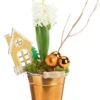 Jacinthe composition hiver pot cuivré - Ø 9,5 cm