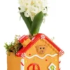 Jacinthe composition hiver pot bois carré – Ø 8 cm