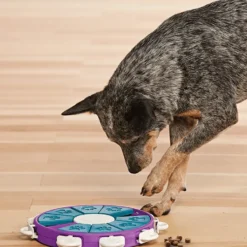 Jeu d'intelligence pour chien coloris multicolore Nina Ottosson Twister niveau 3 - Ø 30,5 cm