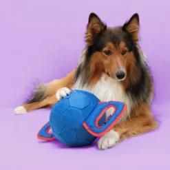 Jouet pour chien coloris multicolore à tirer Coockoo Power Pully - Taille M 35 x 17 x 17 cm