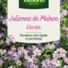 Julienne de Mahon Variée Vilmorin - graines à semer