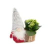 Kalanchoé et cache pot. 25 cm