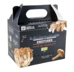 Kit de culture pour champignons shiitake bio 25x20x15 cm