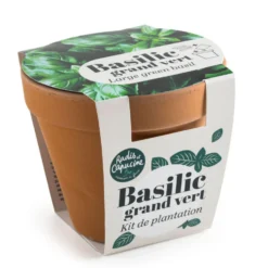 Kit de semence potager pot terre cuite antique basilic grand vert bio Radis & Capucine