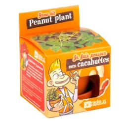 Kit Graines de cacahuètes avec pot et coupelle terre cuite Ø8 cm (À partir de 3 ans)