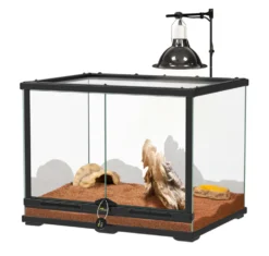 Kit pour pogona juvénile coloris noir Terratlantis - 60 x 45 x 45 cm