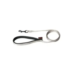 Laisse chien nylon 25mm / 120cm gris