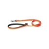 Laisse chien nylon 25 mm / 120 cm orange