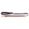 Laisse Neo+ pour chien coloris marron 1,5x100 cm