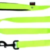 Laisse pour chien en nylon double épaisseur uni coloris vert confort Martin Sellier - Taille L 25/120