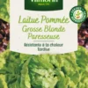 Laitue Pommée Grosse Blonde Paresseuse Vilmorin - graines à semer