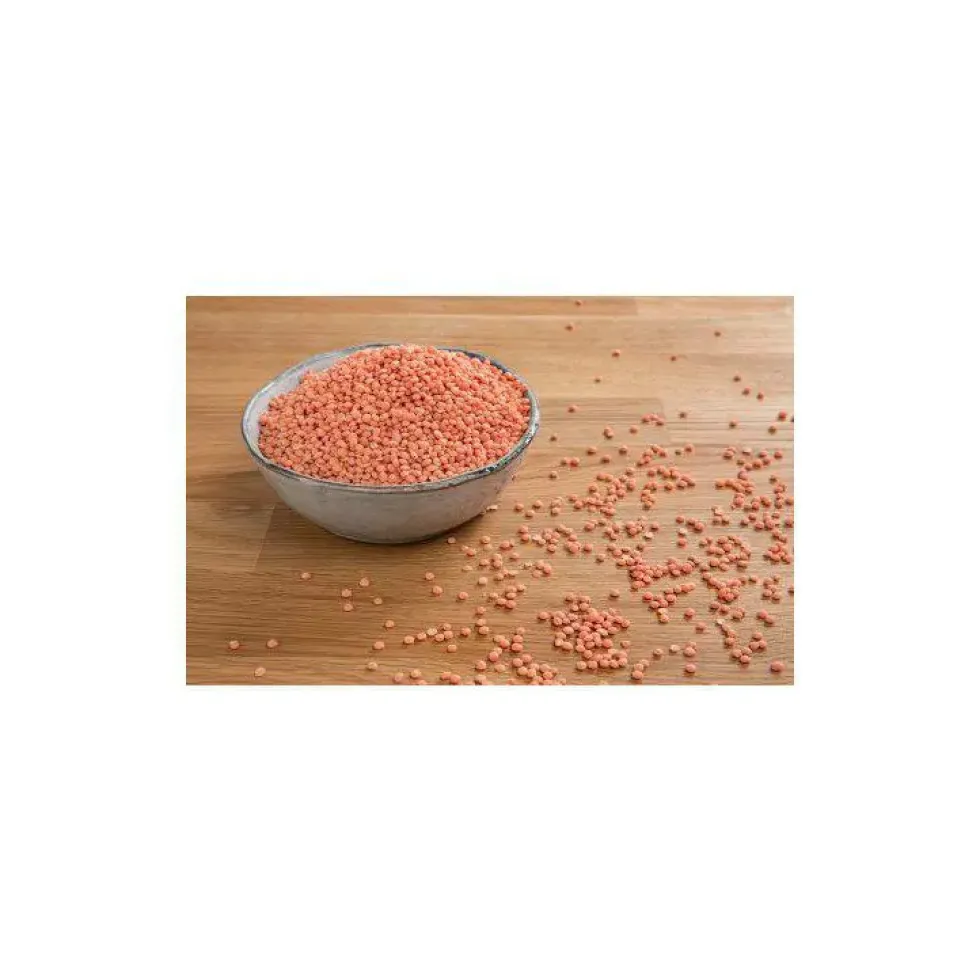 Lentilles corail - Prix au kilo