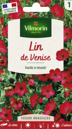 Lin de Venise Vilmorin - graines à semer