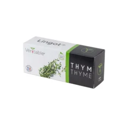 Lingot Thym Bio