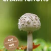 Livre Champignons Guide nature aux Éditions Ulmer - 192 pages