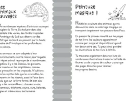 Livre 