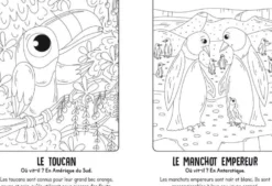 Livre 