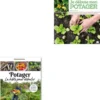 Livre "Potager, la bible pour débuter" Éditions Rustica
