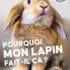 Livre Pourquoi mon lapin fait-il ça ? Aux Éditions Ulmer - 96 pages