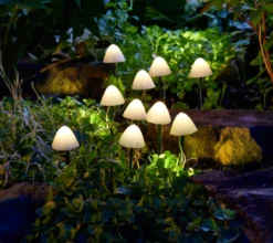 Lot de 10 balises solaires champignons coloris blanc en plastique - 200 x 66 cm