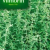 Marjolaine ordinaire Vilmorin - graines à semer