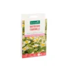 Matricaire camomille botanic® - graines à semer (3 m²)