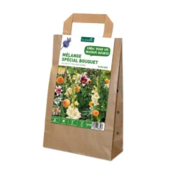 Mélange de bulbes spécial bouquet botanic® - 32 bulbes