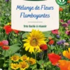 Mélange de fleurs 25 m² camaïeu flamboyant coloris multicolore Vilmorin jardin - 10 x 2,7 x 17,2 cm