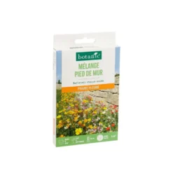 Mélange de graines pour pied de mur botanic® - graines à semer (5 m²)