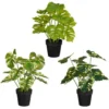 Monstera artificiel en pot - Ø 28 x H 30 cm