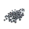 Myrtilles bio d'Espagne - Barquette de 125 g