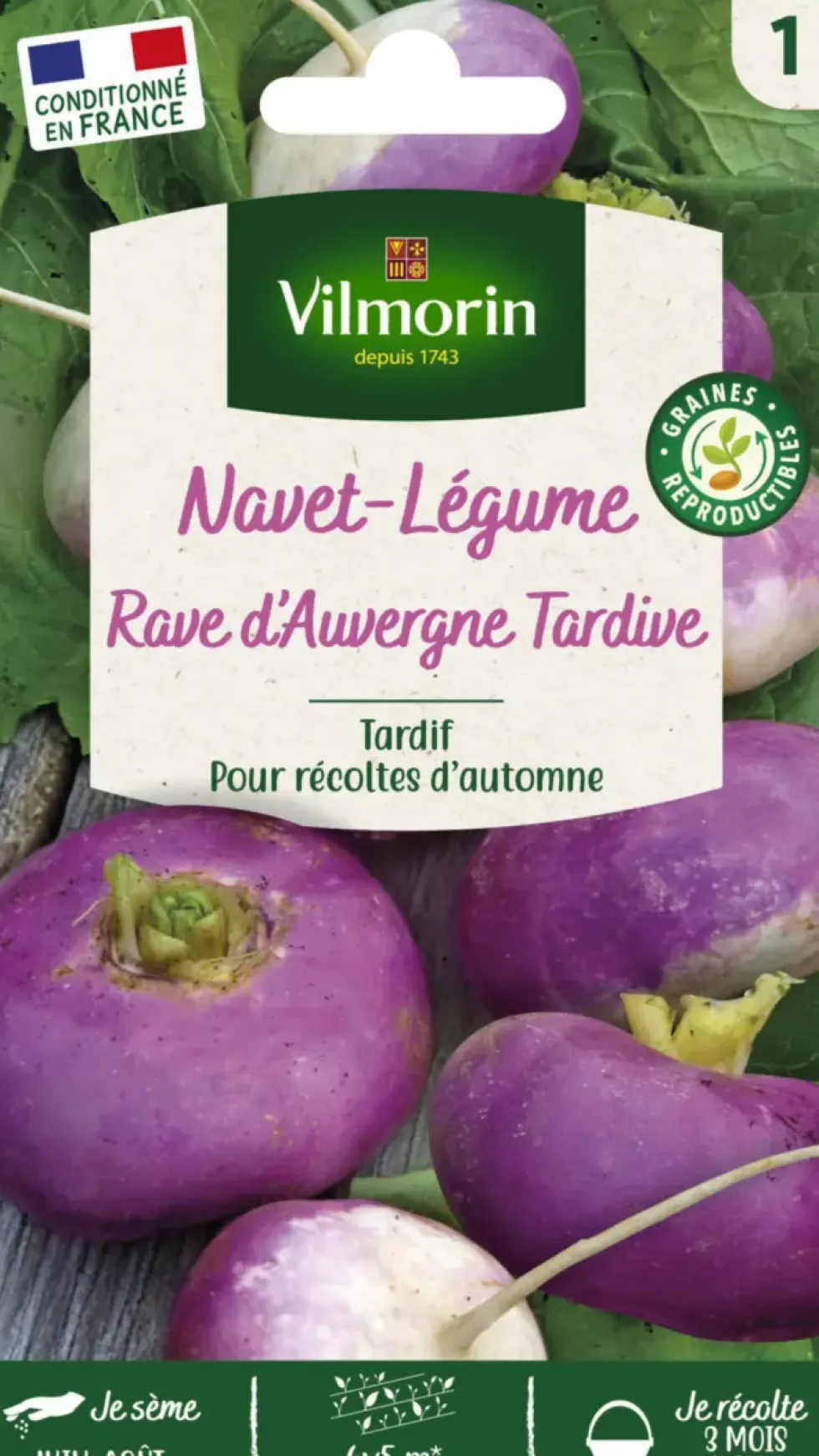 Navet Rave d'Auvergne tardif Vilmorin - graines à semer