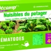 Nématodes contre nuisibles du potager 40 m2
